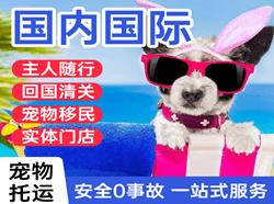 潍坊空运代理国际宠物托运 【国